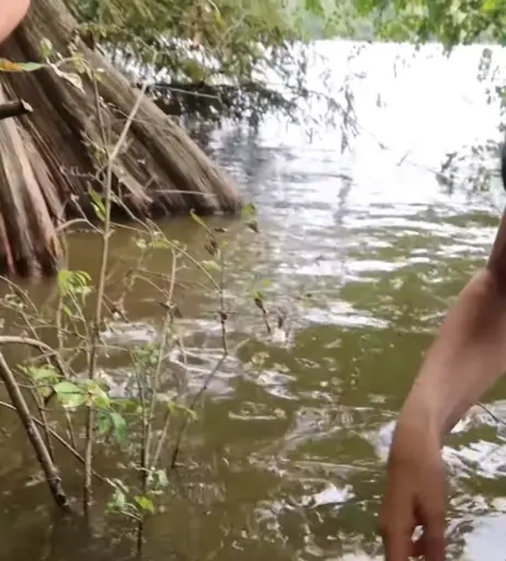 Image 4680495 from Tara yummy