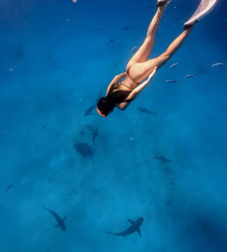 Image 4674919 from Tara yummy