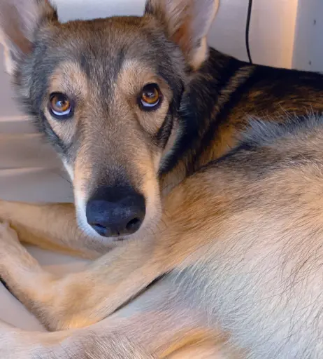 Image 466954 from Obokozu