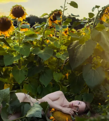 Image 464341 from musemercier