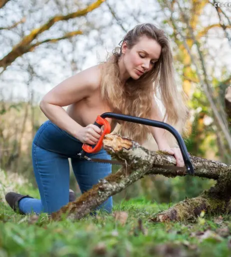 Image 464803 from musemercier