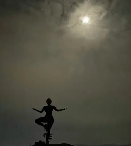 Image 4635473 from Dajinism / Dajin