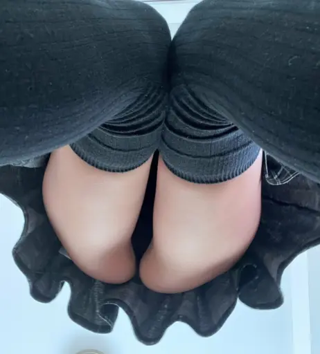 Image 463346 from Dystorra