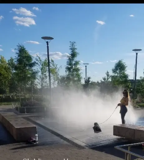 Image 4630858 from Dajinism / Dajin