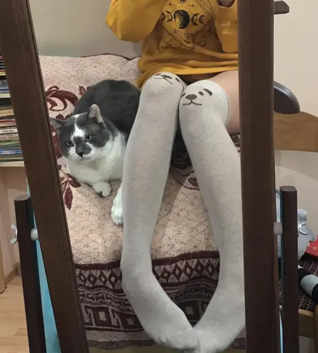 Image 4630922 from Tosha