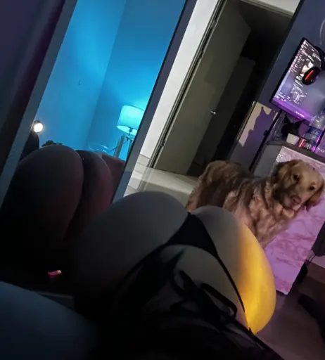 Image 4621926 from Marialamicq @soymafe