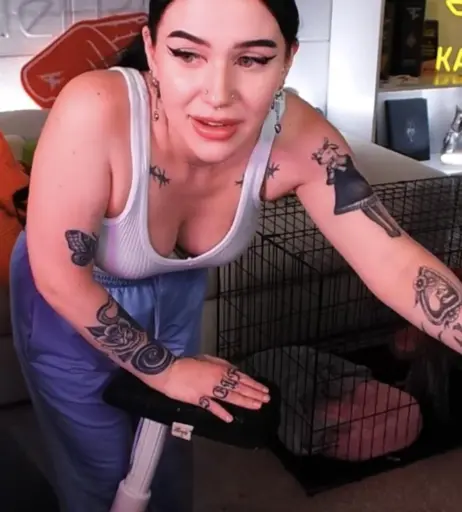 Image 4795266 from Kalei