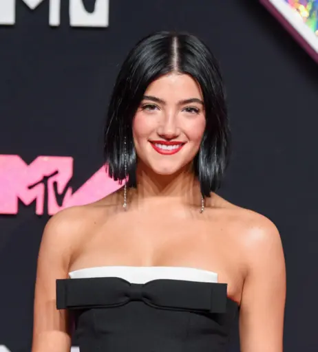 Image 4781829 from Charli D&#039;Amelio / Charli Damelio