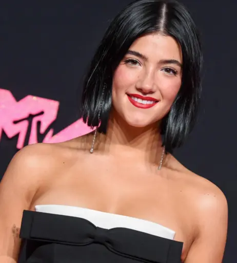 Image 4781926 from Charli D&#039;Amelio / Charli Damelio