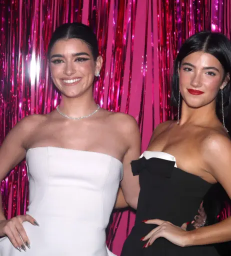 Image 4783536 from Charli D&#039;Amelio / Charli Damelio