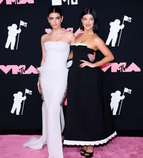 Image 4783416 from Charli D&#039;Amelio / Charli Damelio