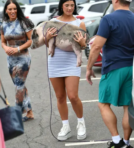 Image 4770628 from Charli D&#039;Amelio / Charli Damelio