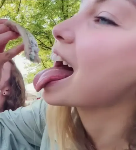 Image 4779524 from HaileeandKendra - Hailee Kendra