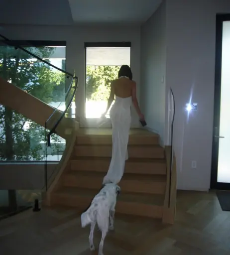 Image 4761068 from Charli D&#039;Amelio / Charli Damelio