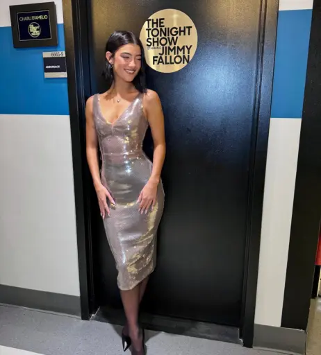 Image 4756834 from Charli D&#039;Amelio / Charli Damelio