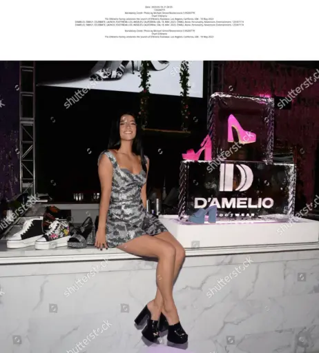 Image 4749209 from Charli D'Amelio / Charli Damelio