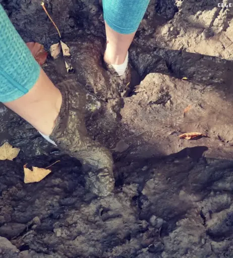 Image 473783 from socksqueenforyou