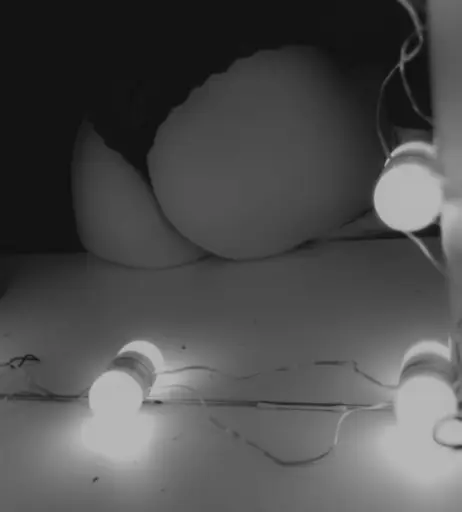 Image 473948 from Kimberley Kxx21