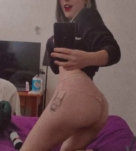 Image 473927 from Vanessa Provesi