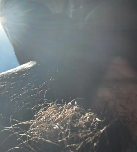 Image 4725901 from Hollie mulvihill (optimus_primette) Foot_feendz / evol_lana.uncensored / priddy_pinnup