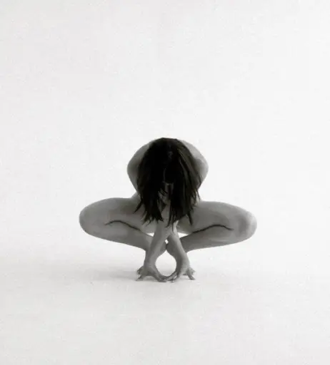 Image 4726250 from Dominique Arrona