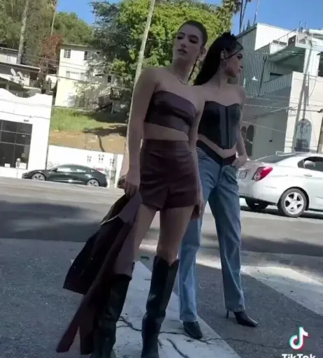 Image 4728507 from Charli D'Amelio / Charli Damelio
