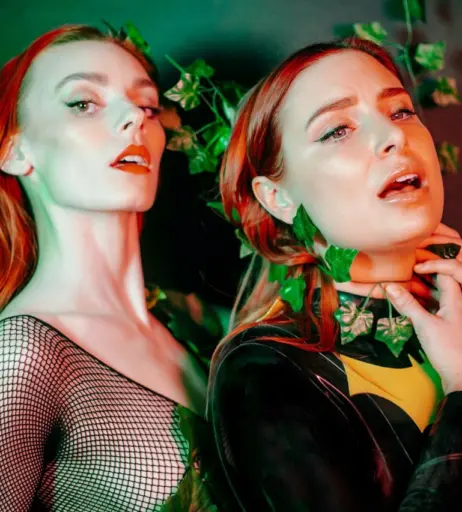 Image 4095250 from Clarus Polaris