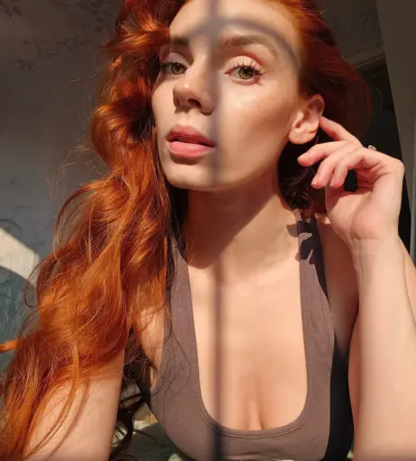 Image 4097590 from Clarus Polaris