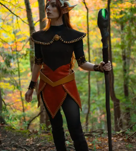 Image 4099556 from Clarus Polaris