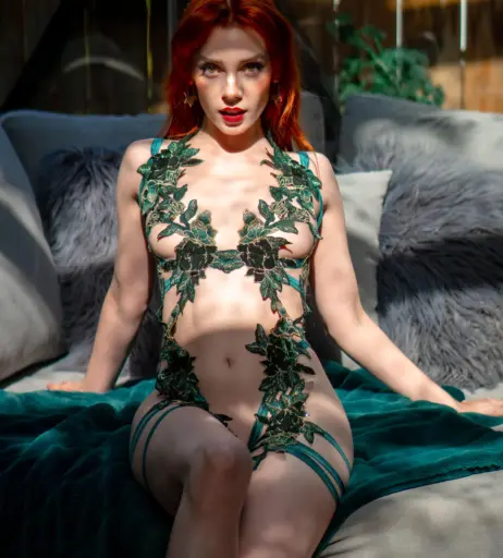 Image 4099296 from Clarus Polaris