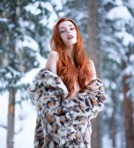 Image 4067390 from Clarus Polaris