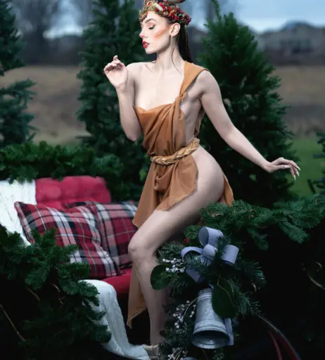 Image 4062804 from Clarus Polaris