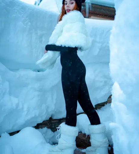 Image 4069568 from Clarus Polaris