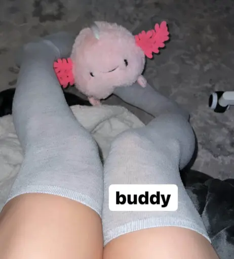 Image 4045848 from Caroandlace