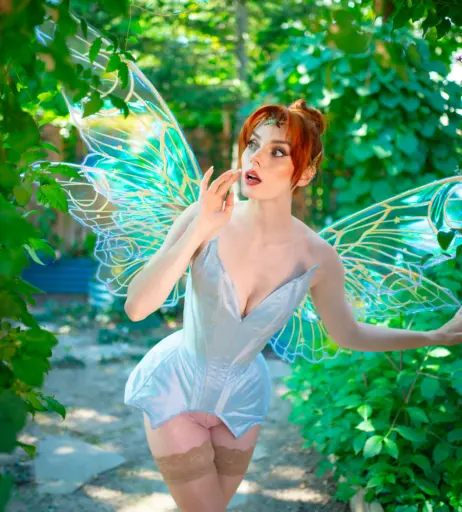 Image 4047488 from Clarus Polaris