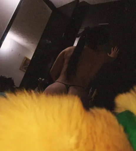 Image 4038491 from Danih (Danih.2025 Daniela Hernandez )