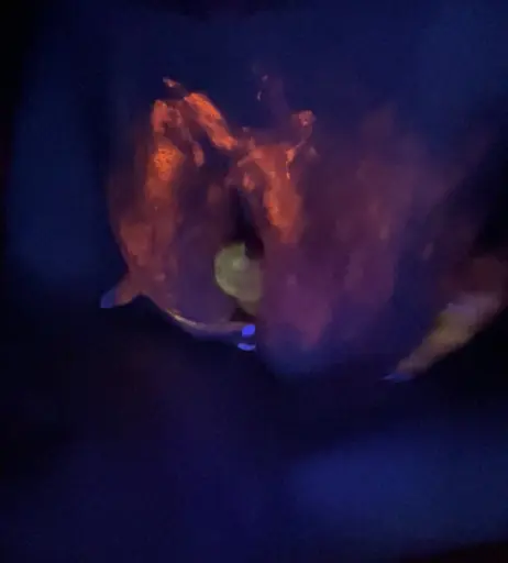 Image 4009085 from Jerzjess/ Lil Jess