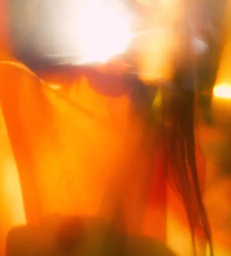 Image 727836 from Mady Morrison