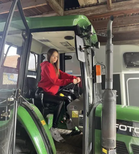 Image 725962 from Sophie Gerlach