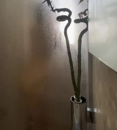 Image 720704 from Linneasky