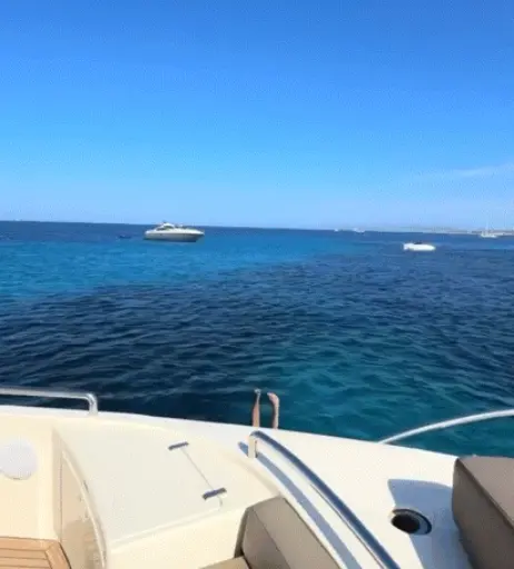 Image 736689 from Sophia Weber