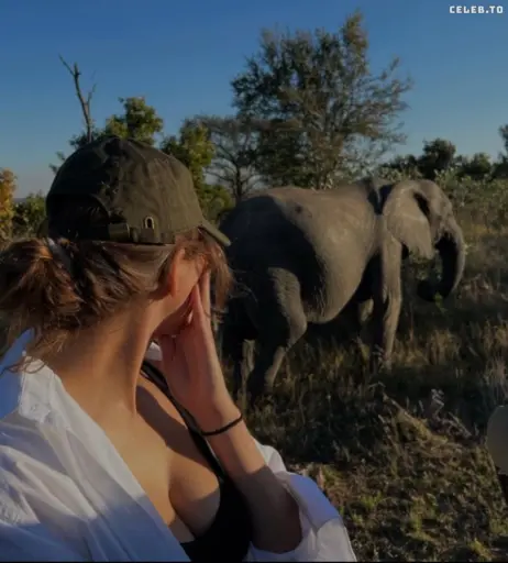 Image 735732 from Sophia Weber