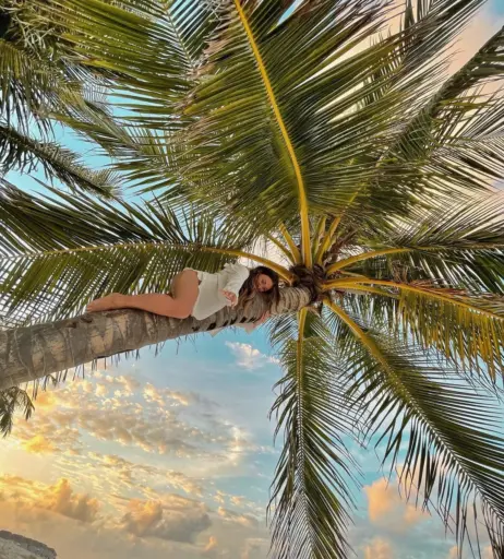 Image 732546 from BibisBeautyPalace