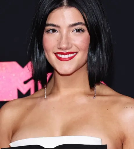 Image 731797 from Charli D’Amelio