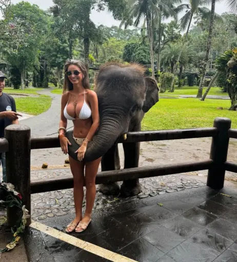 Image 707367 from Maddy Cheary