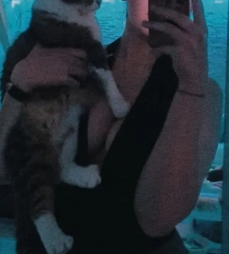 Image 702300 from Meowiieh