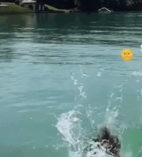 Image 701662 from Lisa-Marie Schiffner